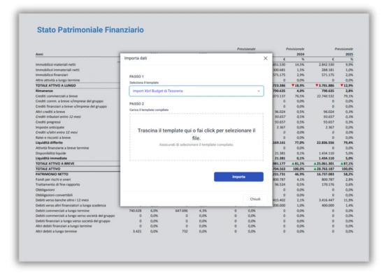 Budget di Tesoreria Importazione Automatica