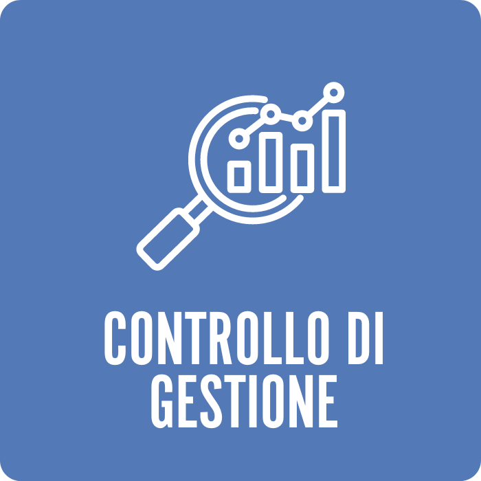 Software Controllo di Gestione