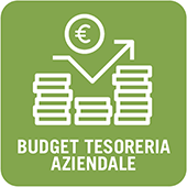 Budget Tesoreria Aziendale